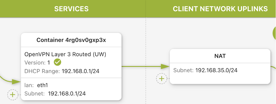 OpenVPN L3 Routed Container